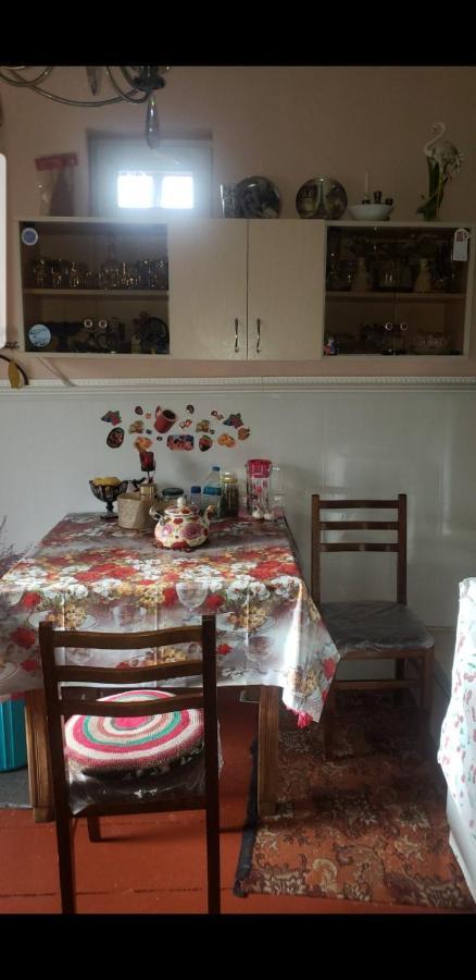 Guest House Dodo Kazbegi Ngoại thất bức ảnh