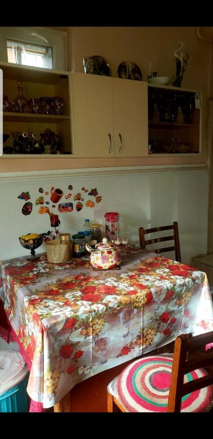 Guest House Dodo Kazbegi Ngoại thất bức ảnh