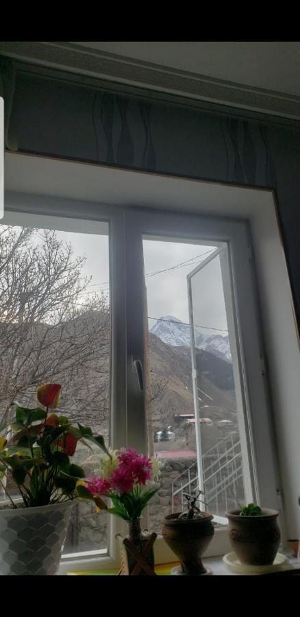 Guest House Dodo Kazbegi Ngoại thất bức ảnh