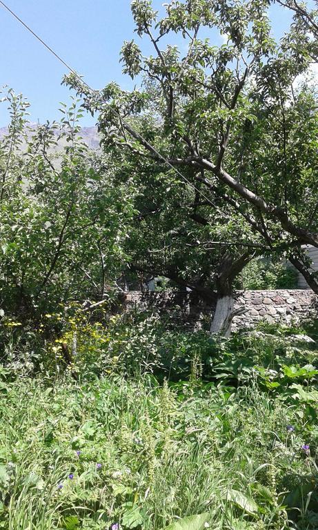 Guest House Dodo Kazbegi Ngoại thất bức ảnh